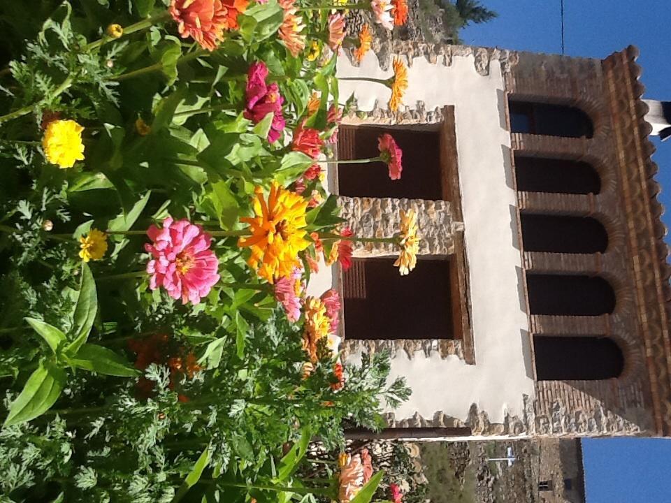Casa Rural Caseta De L' Hort فيلافرانكا ديل كايد الغرفة الصورة
