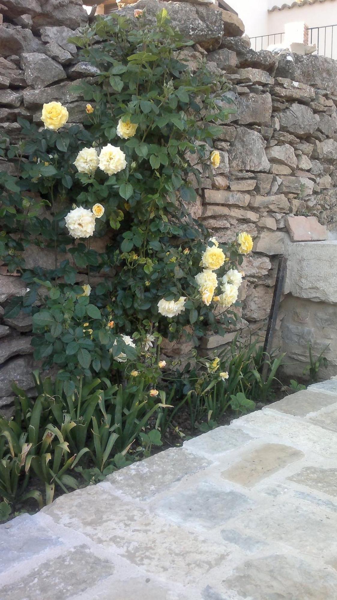Casa Rural Caseta De L' Hort فيلافرانكا ديل كايد المظهر الخارجي الصورة