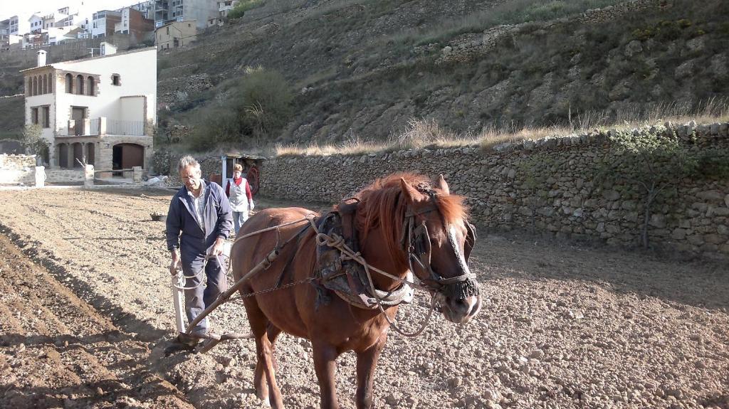 Casa Rural Caseta De L' Hort فيلافرانكا ديل كايد المظهر الخارجي الصورة