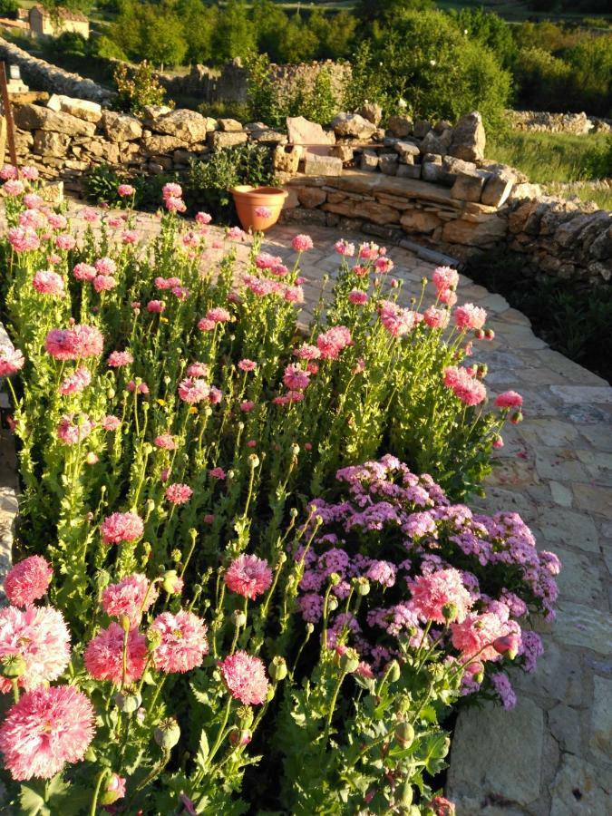 Casa Rural Caseta De L' Hort فيلافرانكا ديل كايد المظهر الخارجي الصورة