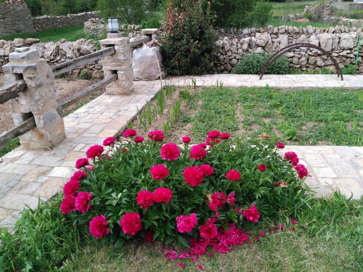 Casa Rural Caseta De L' Hort فيلافرانكا ديل كايد المظهر الخارجي الصورة