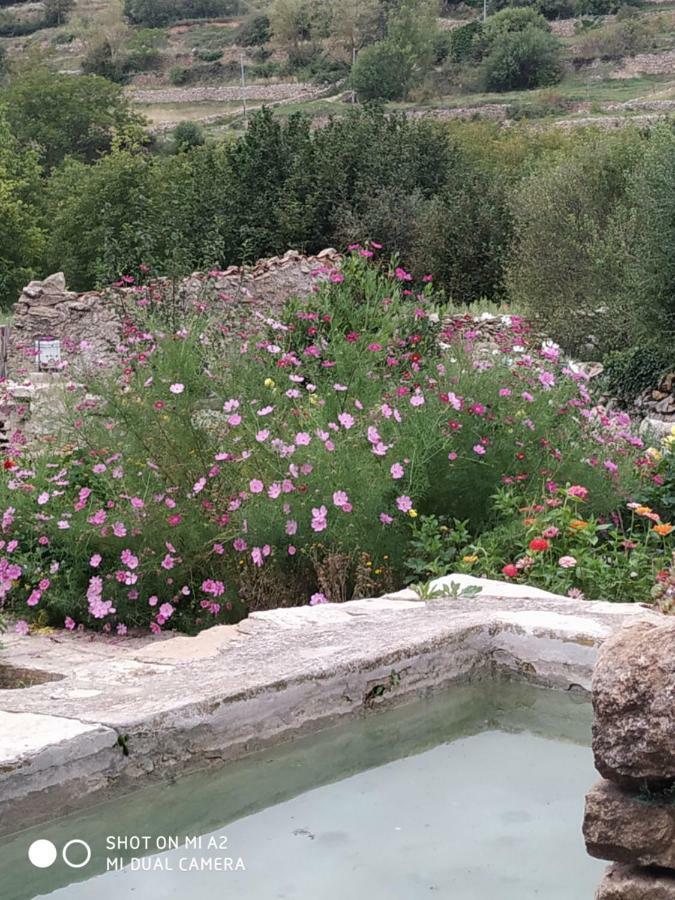 Casa Rural Caseta De L' Hort فيلافرانكا ديل كايد المظهر الخارجي الصورة